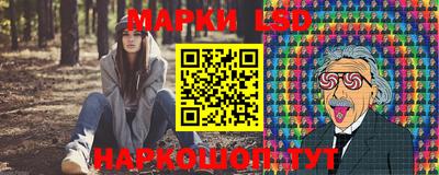 шишки Бийск