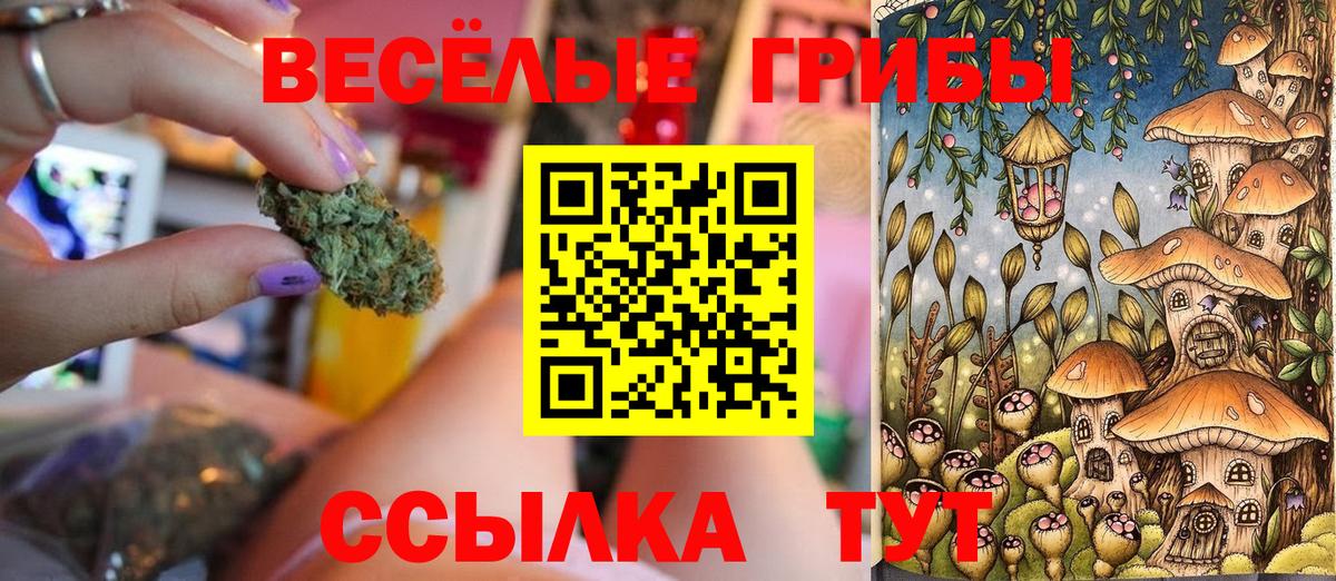Псилоцибиновые грибы Psilocybe Керчь