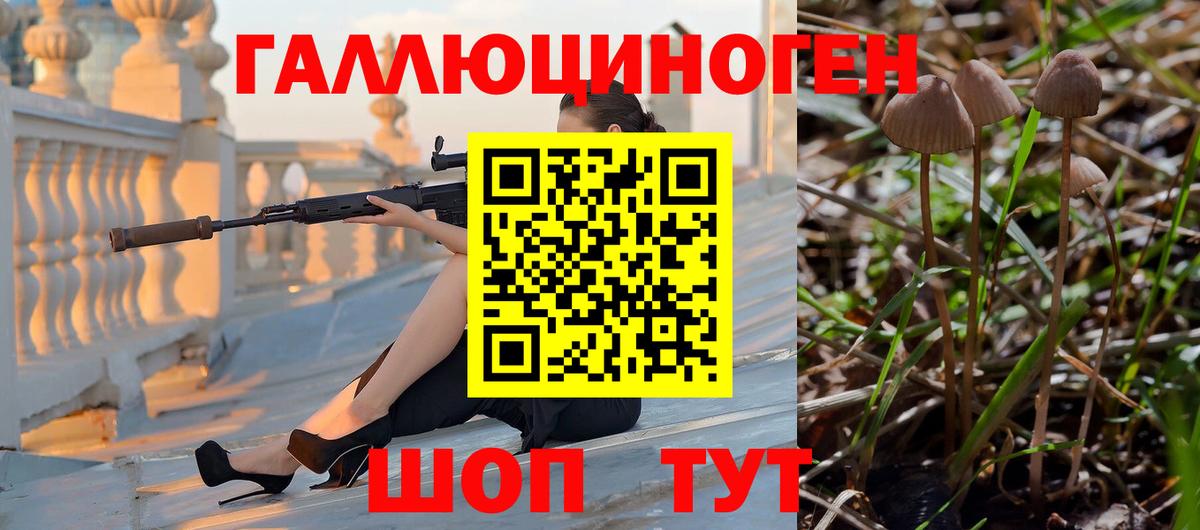 Псилоцибиновые грибы Cubensis  Вход с VPN  Керчь 
